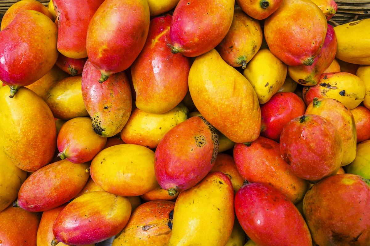 আমবাগান গ্যালারি 7